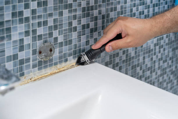 Best Mold Remediation for Schools in Lake Lakengren, OH